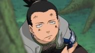 Shikamaru Nara (Image via Studio Pierrot)